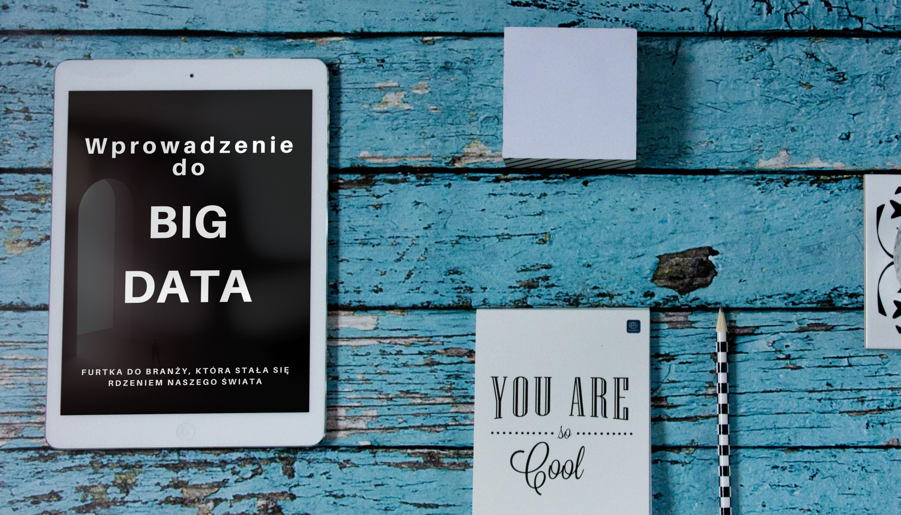 Ebook o Big Data po polsku – zdobądź wpływ na jego kształt!